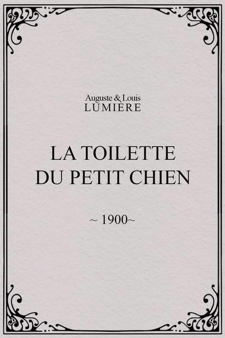 La toilette du petit chien